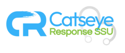 Motorsport Event in UK